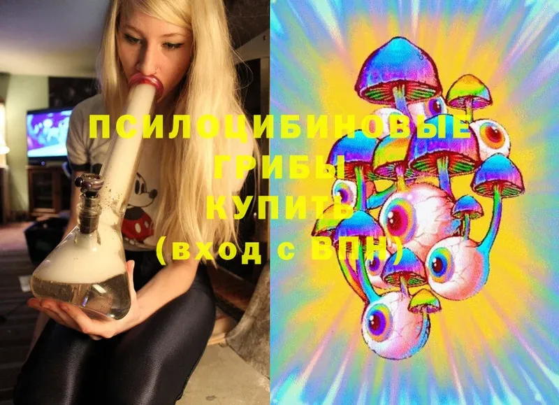 OMG как зайти  Вельск  Псилоцибиновые грибы MAGIC MUSHROOMS  наркота 